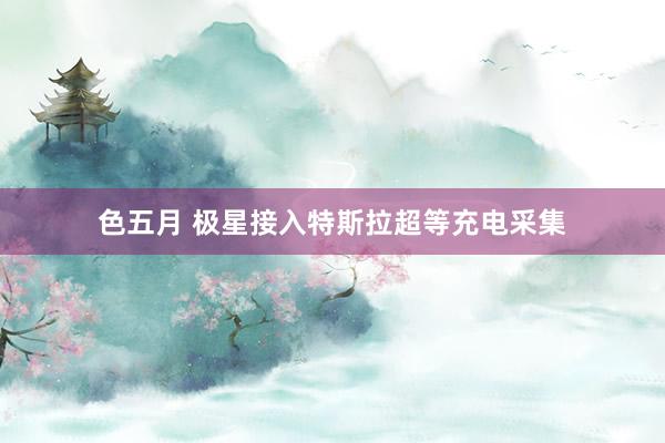 色五月 极星接入特斯拉超等充电采集