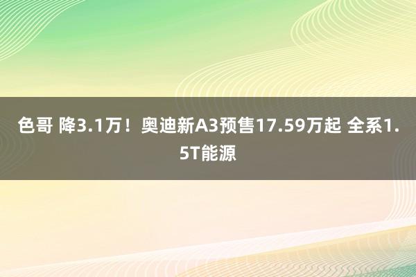 色哥 降3.1万！奥迪新A3预售17.59万起 全系1.5T能源