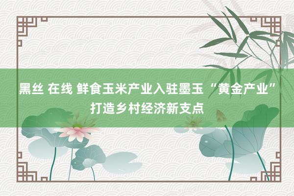 黑丝 在线 鲜食玉米产业入驻墨玉 “黄金产业”打造乡村经济新支点