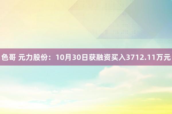 色哥 元力股份：10月30日获融资买入3712.11万元