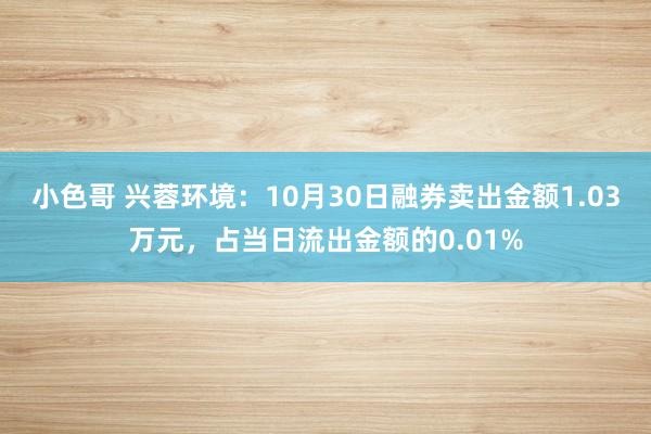小色哥 兴蓉环境：10月30日融券卖出金额1.03万元，占当日流出金额的0.01%