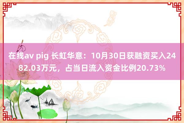 在线av pig 长虹华意：10月30日获融资买入2482.03万元，占当日流入资金比例20.73%