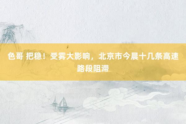 色哥 把稳！受雾大影响，北京市今晨十几条高速路段阻滞