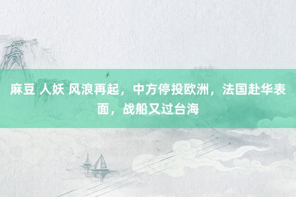 麻豆 人妖 风浪再起，中方停投欧洲，法国赴华表面，战船又过台海