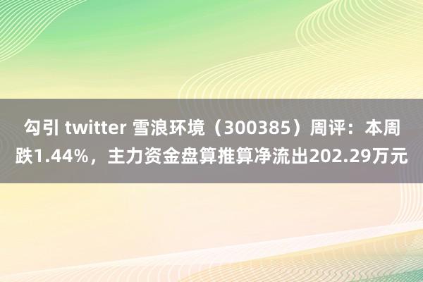 勾引 twitter 雪浪环境（300385）周评：本周跌1.44%，主力资金盘算推算净流出202.29万元
