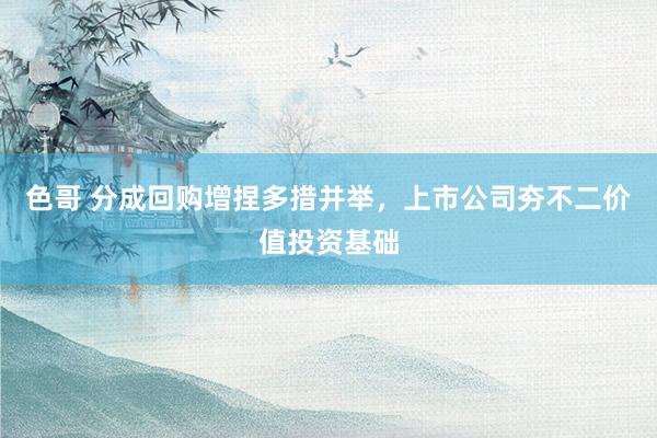 色哥 分成回购增捏多措并举，上市公司夯不二价值投资基础