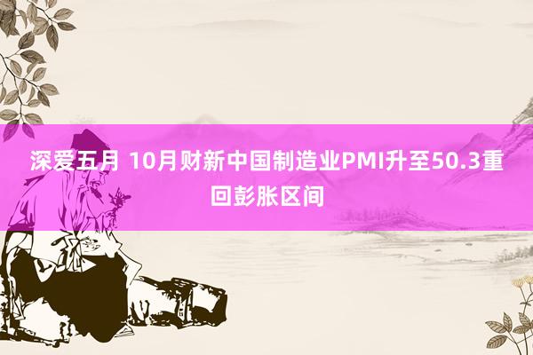 深爱五月 10月财新中国制造业PMI升至50.3重回彭胀区间