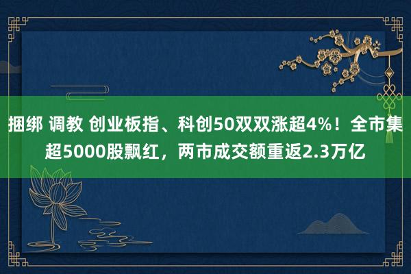 捆绑 调教 创业板指、科创50双双涨超4%！全市集超5000股飘红，两市成交额重返2.3万亿