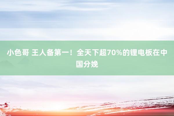 小色哥 王人备第一！全天下超70%的锂电板在中国分娩