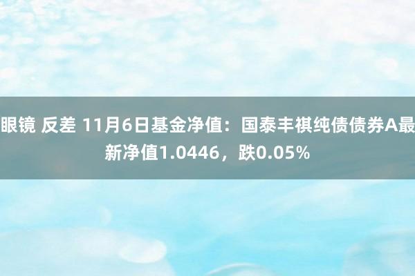 眼镜 反差 11月6日基金净值：国泰丰祺纯债债券A最新净值1.0446，跌0.05%