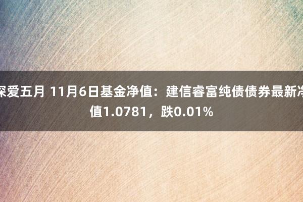 深爱五月 11月6日基金净值：建信睿富纯债债券最新净值1.0781，跌0.01%