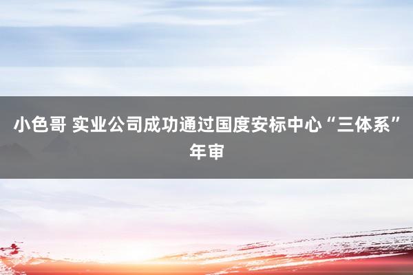 小色哥 实业公司成功通过国度安标中心“三体系”年审