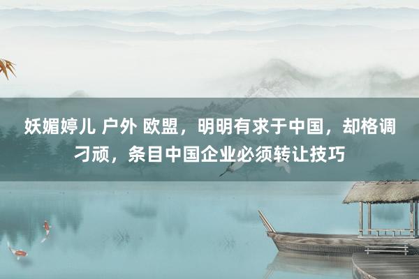 妖媚婷儿 户外 欧盟，明明有求于中国，却格调刁顽，条目中国企业必须转让技巧