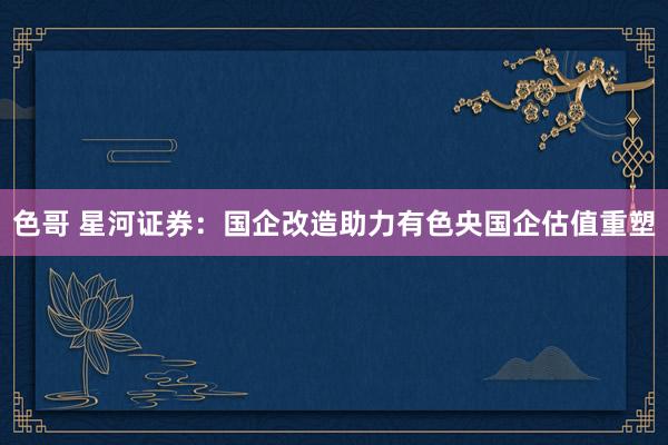 色哥 星河证券：国企改造助力有色央国企估值重塑