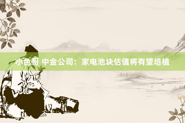 小色哥 中金公司：家电池块估值将有望培植