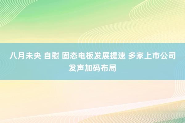八月未央 自慰 固态电板发展提速 多家上市公司发声加码布局