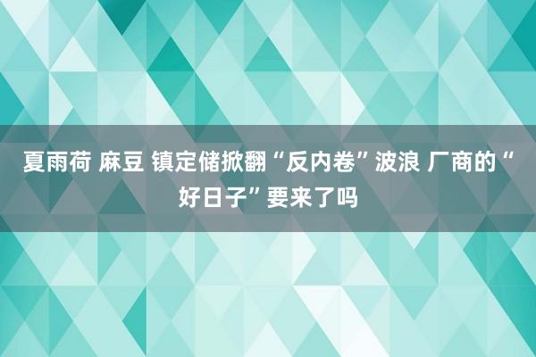 夏雨荷 麻豆 镇定储掀翻“反内卷”波浪 厂商的“好日子”要来了吗