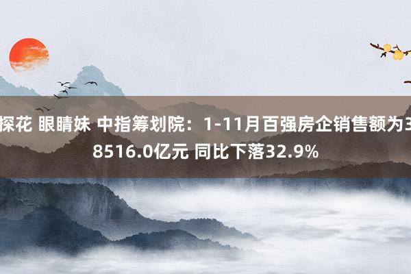 探花 眼睛妹 中指筹划院：1-11月百强房企销售额为38516.0亿元 同比下落32.9%