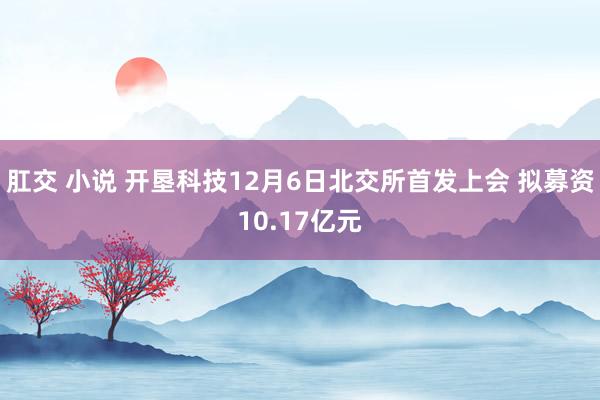 肛交 小说 开垦科技12月6日北交所首发上会 拟募资10.17亿元