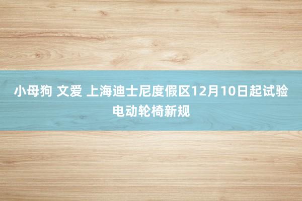 小母狗 文爱 上海迪士尼度假区12月10日起试验电动轮椅新规