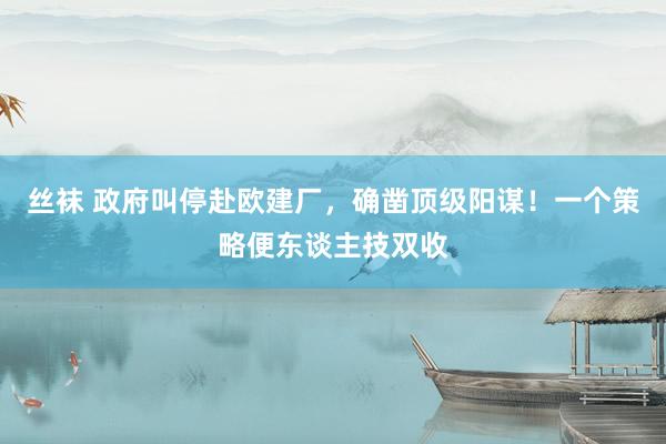丝袜 政府叫停赴欧建厂，确凿顶级阳谋！一个策略便东谈主技双收