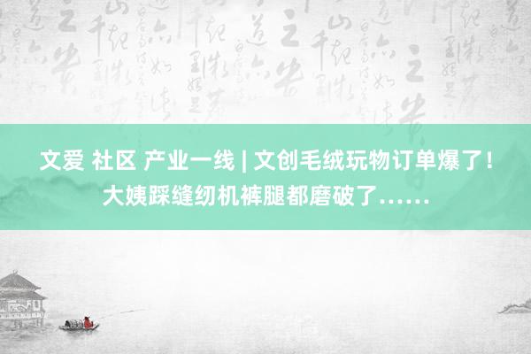 文爱 社区 产业一线 | 文创毛绒玩物订单爆了！大姨踩缝纫机裤腿都磨破了……