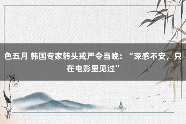 色五月 韩国专家转头戒严令当晚：“深感不安，只在电影里见过”