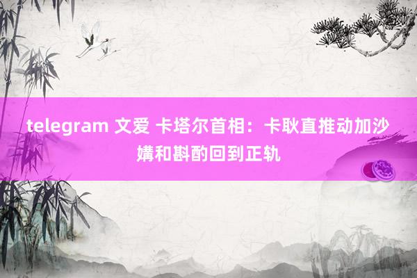 telegram 文爱 卡塔尔首相：卡耿直推动加沙媾和斟酌回到正轨