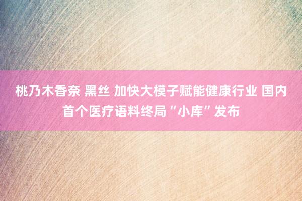 桃乃木香奈 黑丝 加快大模子赋能健康行业 国内首个医疗语料终局“小库”发布
