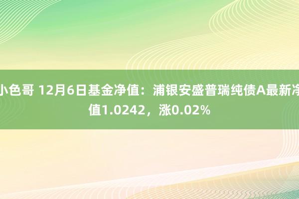 小色哥 12月6日基金净值：浦银安盛普瑞纯债A最新净值1.0242，涨0.02%