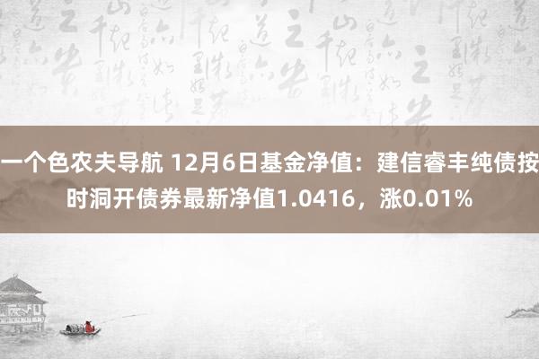 一个色农夫导航 12月6日基金净值：建信睿丰纯债按时洞开债券最新净值1.0416，涨0.01%