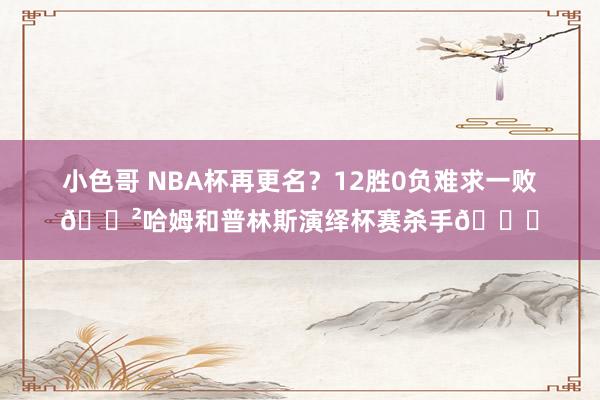 小色哥 NBA杯再更名？12胜0负难求一败😲哈姆和普林斯演绎杯赛杀手😎