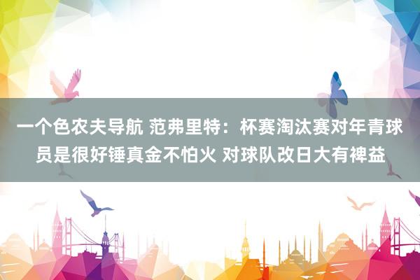 一个色农夫导航 范弗里特：杯赛淘汰赛对年青球员是很好锤真金不怕火 对球队改日大有裨益