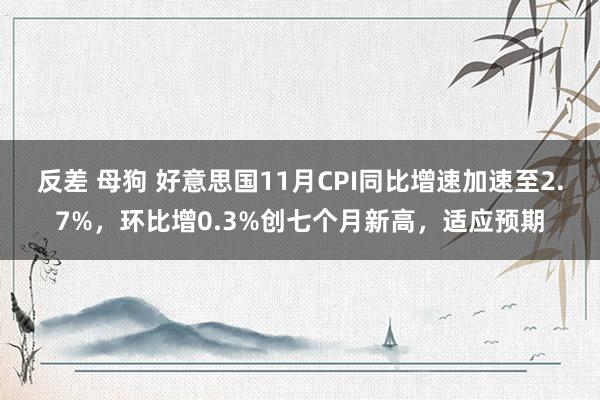 反差 母狗 好意思国11月CPI同比增速加速至2.7%，环比增0.3%创七个月新高，适应预期
