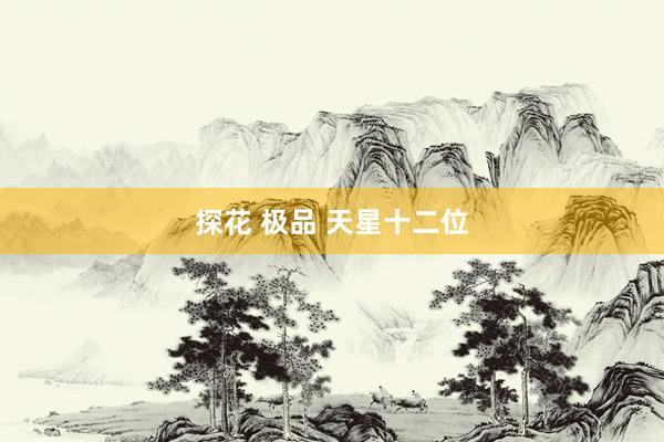 探花 极品 天星十二位