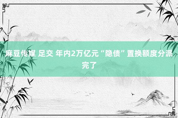 麻豆传媒 足交 年内2万亿元“隐债”置换额度分派完了