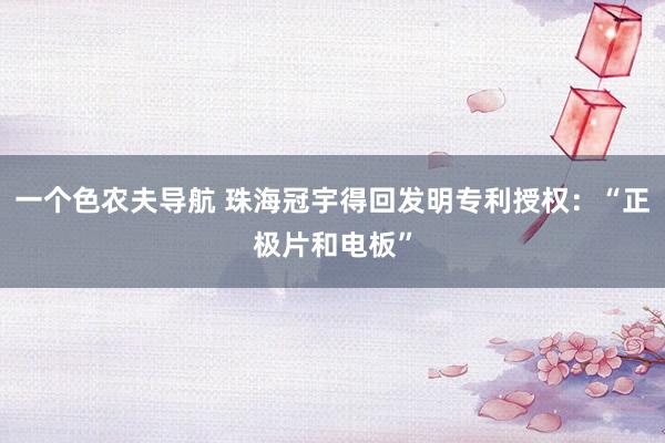 一个色农夫导航 珠海冠宇得回发明专利授权：“正极片和电板”