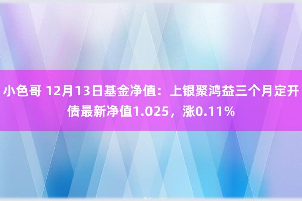 小色哥 12月13日基金净值：上银聚鸿益三个月定开债最新净值1.025，涨0.11%