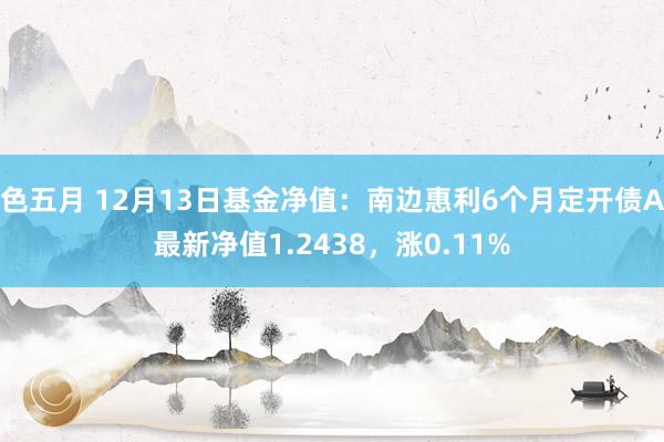 色五月 12月13日基金净值：南边惠利6个月定开债A最新净值1.2438，涨0.11%
