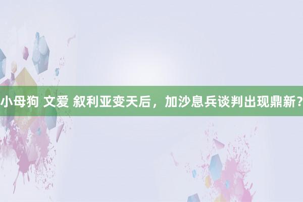 小母狗 文爱 叙利亚变天后，加沙息兵谈判出现鼎新？