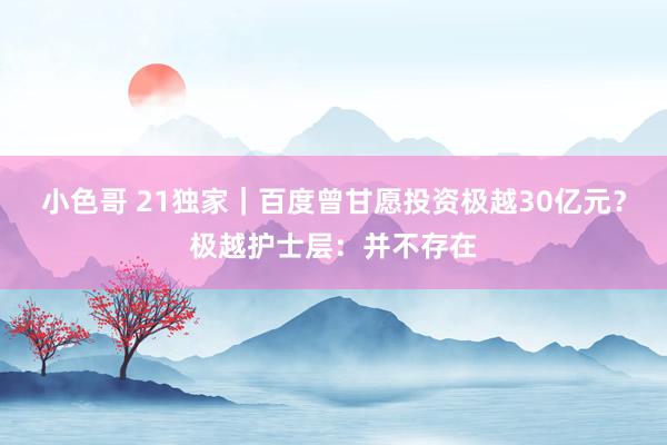 小色哥 21独家｜百度曾甘愿投资极越30亿元？极越护士层：并不存在