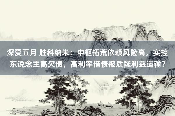 深爱五月 胜科纳米：中枢拓荒依赖风险高，实控东说念主高欠债，高利率借债被质疑利益运输？