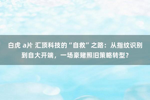 白虎 a片 汇顶科技的“自救”之路：从指纹识别到自大开端，一场豪赌照旧策略转型？