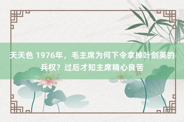 天天色 1976年，毛主席为何下令拿掉叶剑英的兵权？过后才知主席精心良苦
