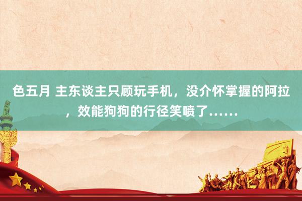 色五月 主东谈主只顾玩手机，没介怀掌握的阿拉，效能狗狗的行径笑喷了……