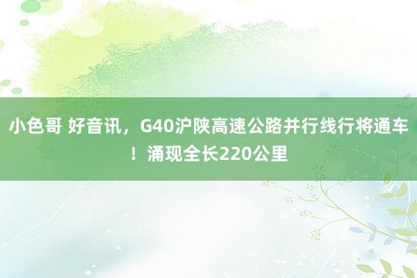 小色哥 好音讯，G40沪陕高速公路并行线行将通车！涌现全长220公里