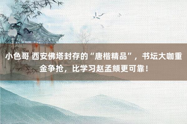 小色哥 西安佛塔封存的“唐楷精品”，书坛大咖重金争抢，比学习赵孟頫更可靠！