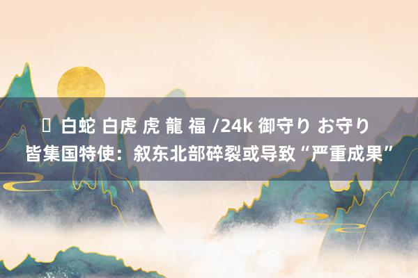 ✨白蛇 白虎 虎 龍 福 /24k 御守り お守り 皆集国特使：叙东北部碎裂或导致“严重成果”