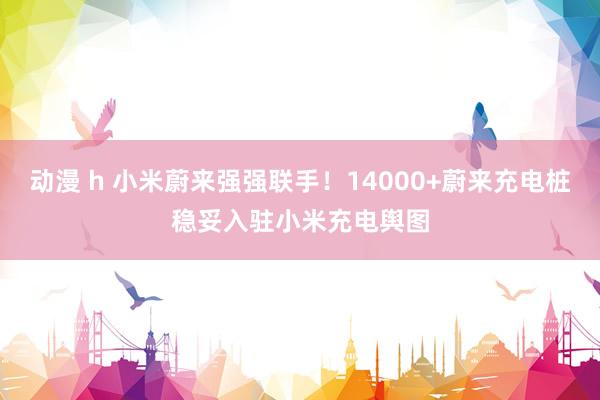 动漫 h 小米蔚来强强联手！14000+蔚来充电桩稳妥入驻小米充电舆图
