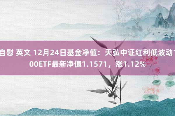 自慰 英文 12月24日基金净值：天弘中证红利低波动100ETF最新净值1.1571，涨1.12%